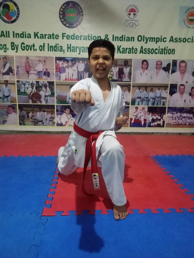 Indo Martial Arts Academy KARATE-MMA-KICKBOXING-SELF DEFENCE — Martial Arts in Palam Vihar