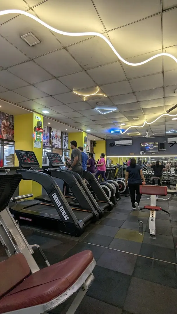Perfect Gym