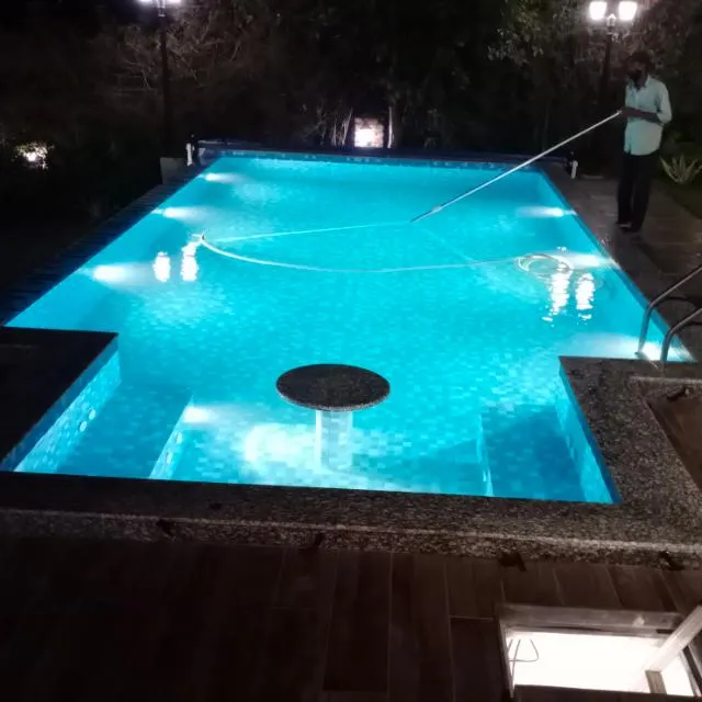 Dolphin Pools — Swimming in Andheri West
