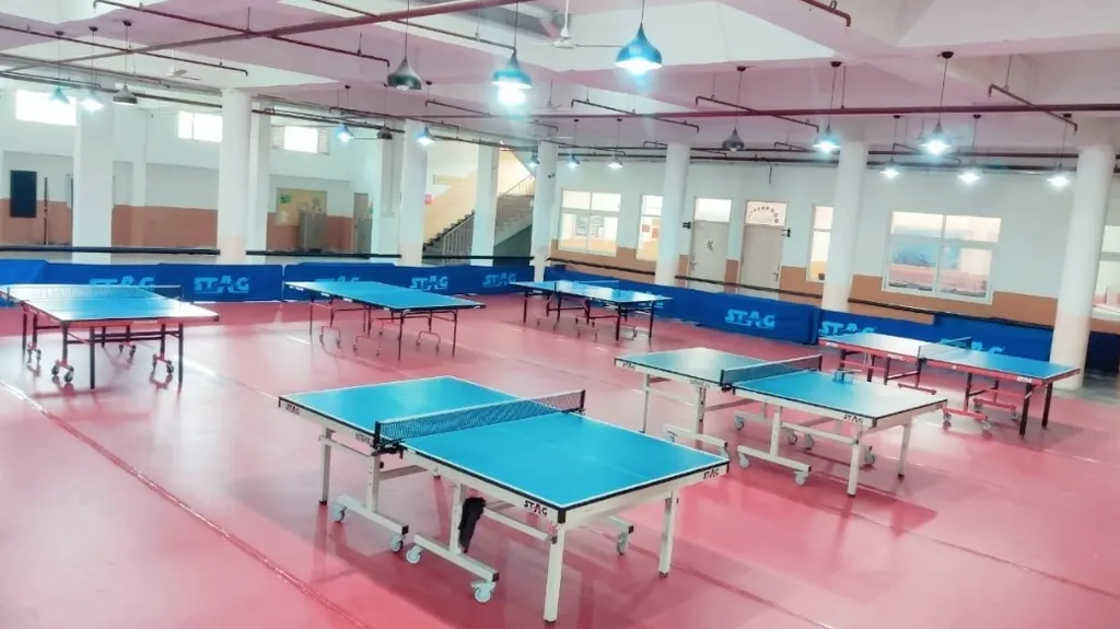 V3 Table Tennis Academy — Table Tennis in Sector 122