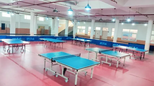 V3 Table Tennis Academy — Table Tennis in Sector 122