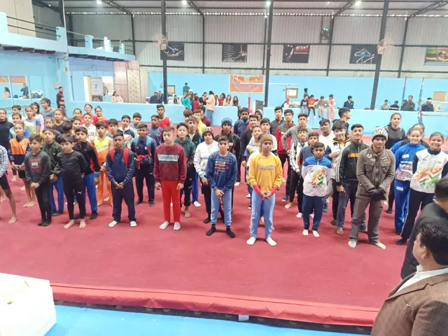 Excellence Gymnastics Private limited — Gymnastics in Sector 62