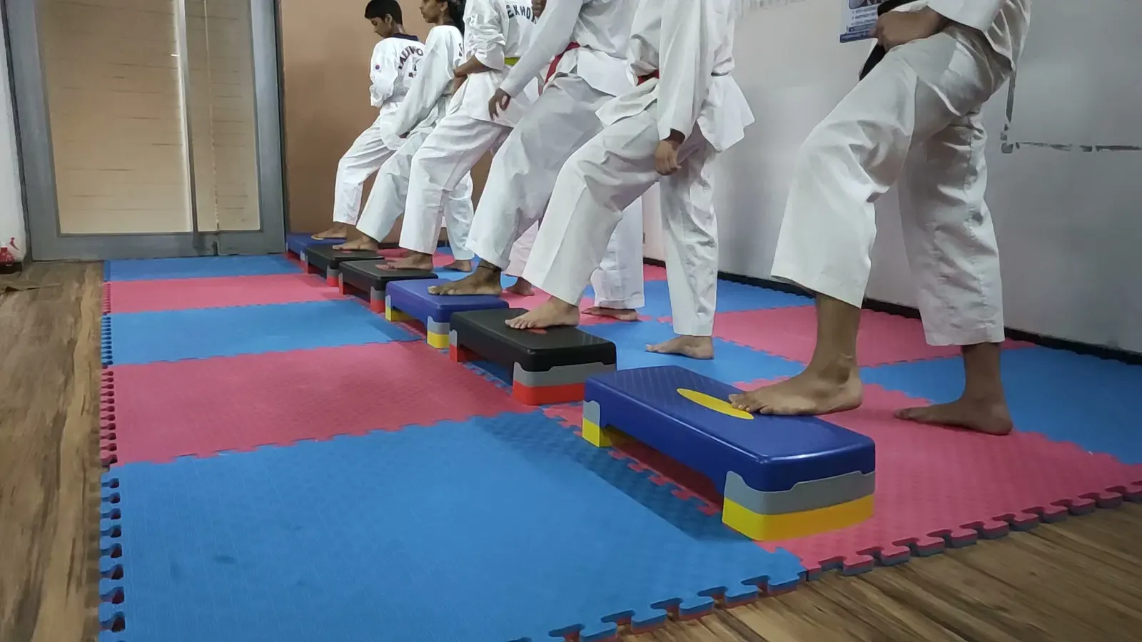 Paatliputraa Taekwondo Academy photo 1