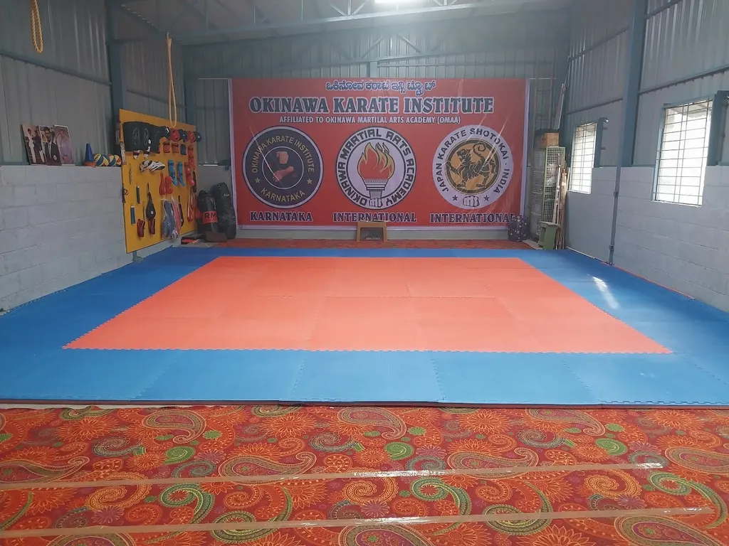 Okinawa Karate Institute Hoodi Branch — Martial Arts in Kodigehalli