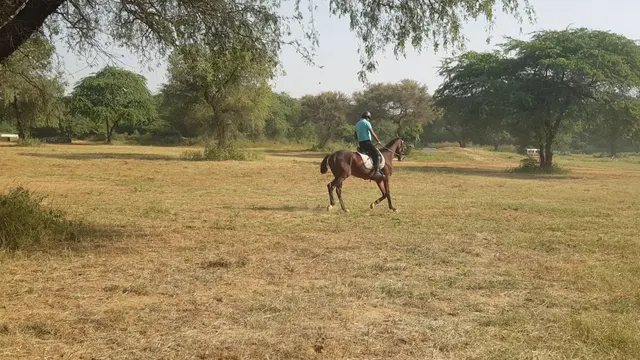 Army Polo and Riding Club (APRC) — Horse Riding in Central Ridge Reserve Forest