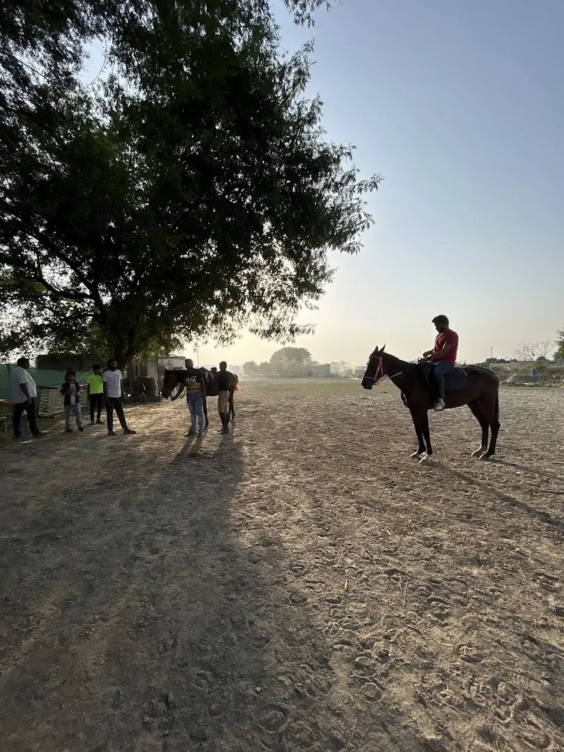 Global Equestrian Club — Horse Riding in Sector 128