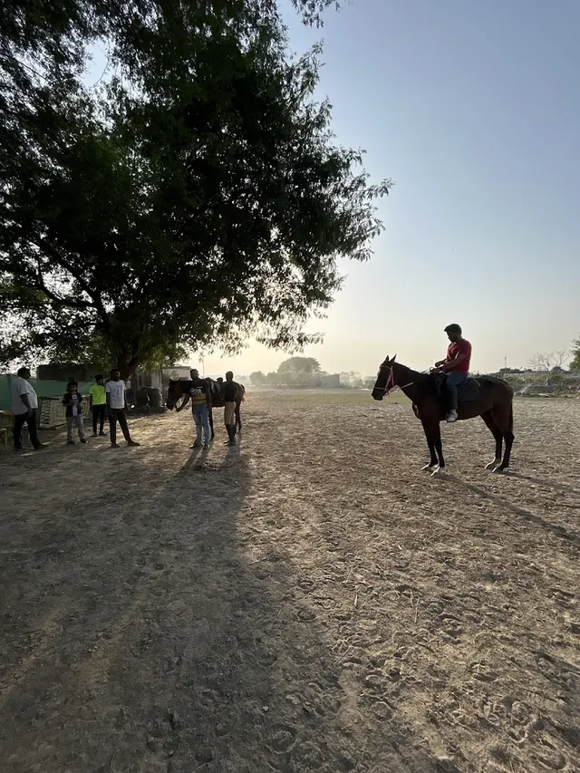 Global Equestrian Club — Horse Riding in Sector 128