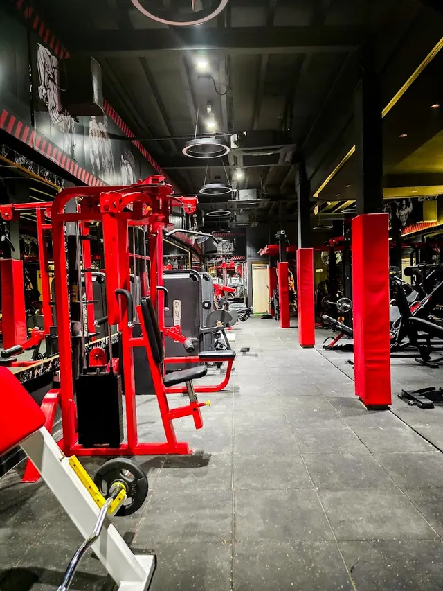 Life Zone Unisex Gym