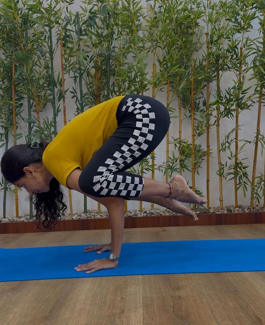 Kavis Yogadrishti — Yoga in Borivali West