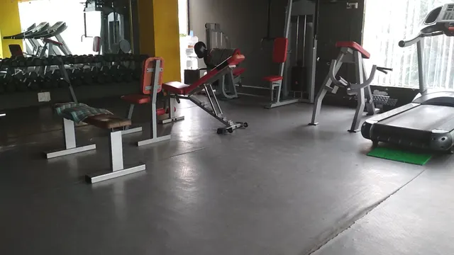 Shrugs Gym