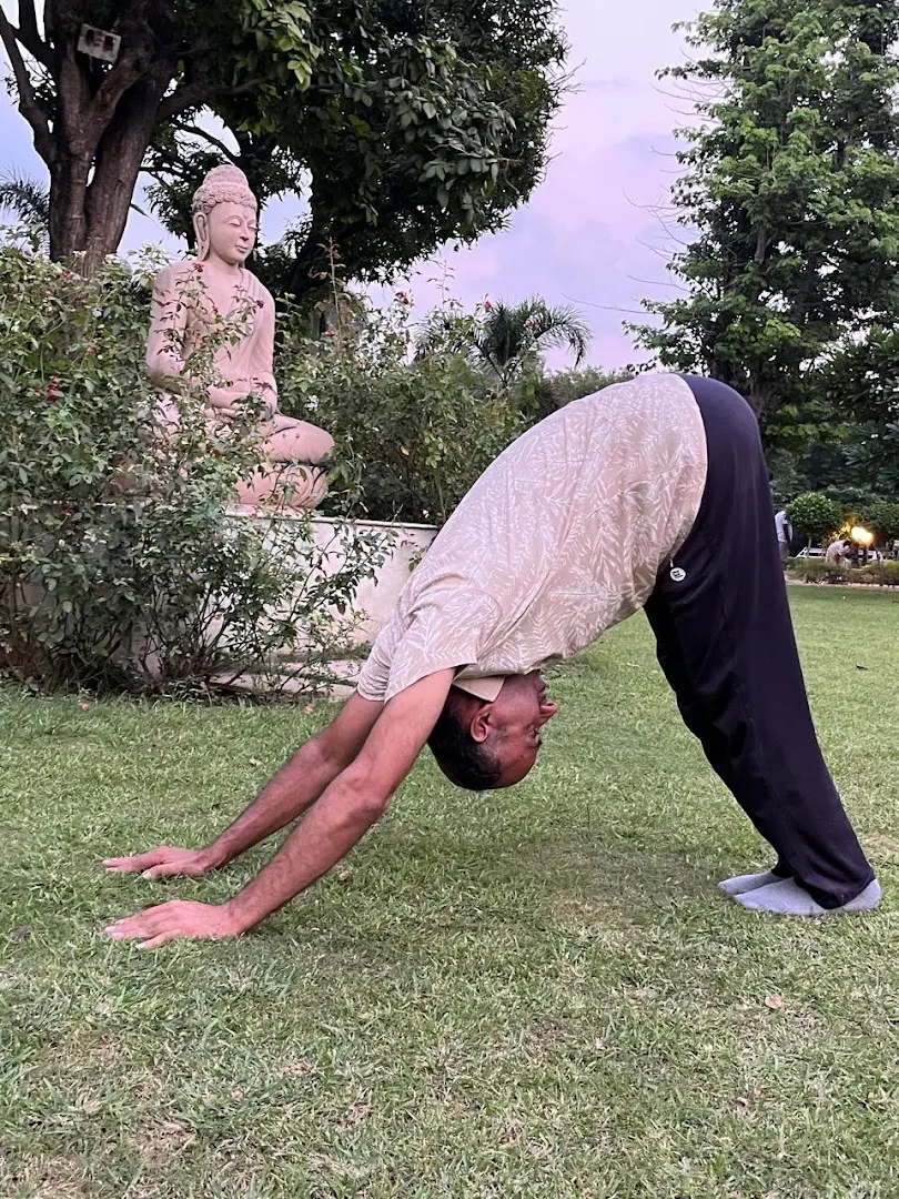 Bliss Yoga — Yoga in Tilak Nagar
