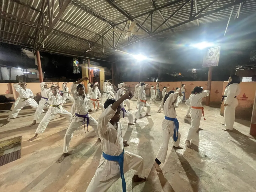 Asian Shito-Ryu Sports Karate-Do Association — Martial Arts in Malad West