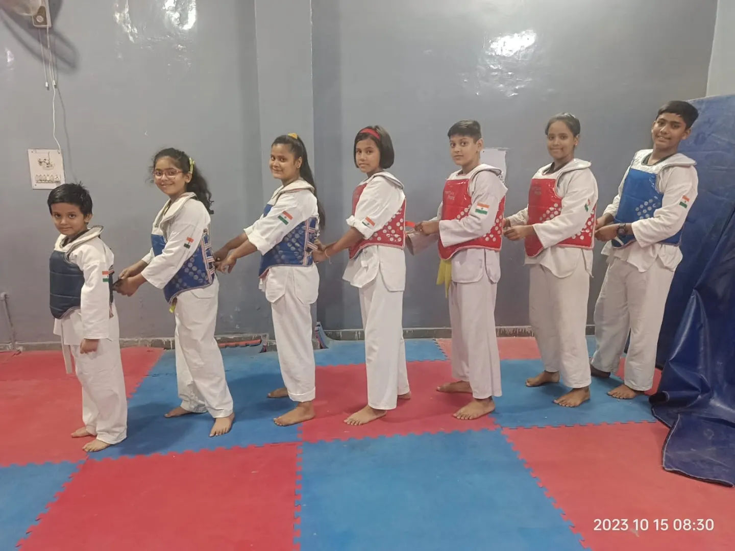 The Janak Taekwondo Academy — Martial Arts in Sagar Pur, Delhi