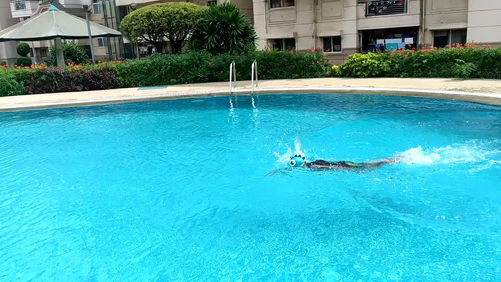 Marlin swim photo 1