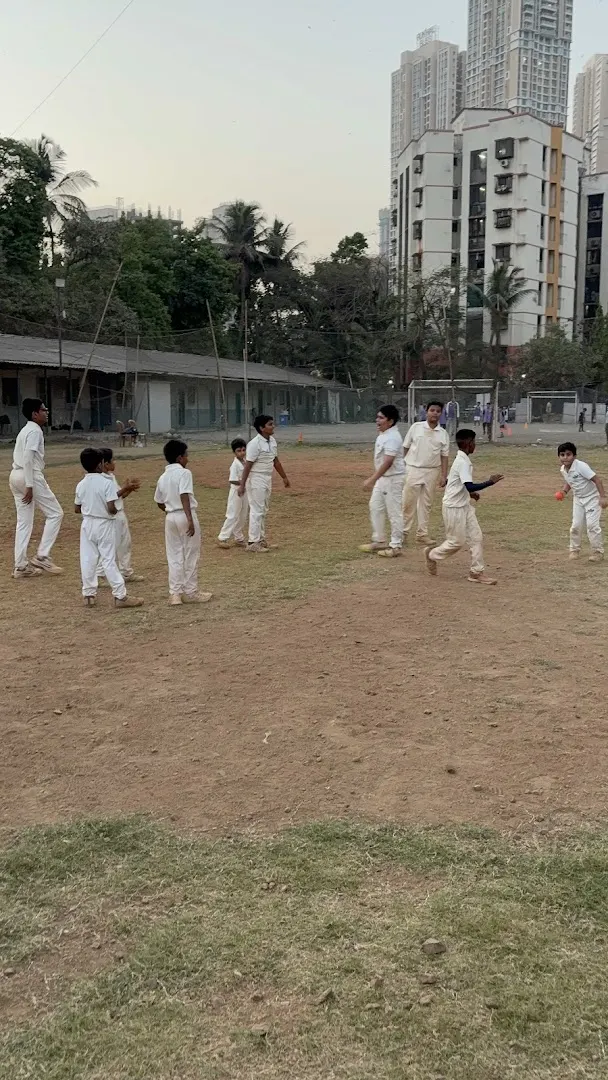 Impact cricket academy — Cricket in Bhandup East