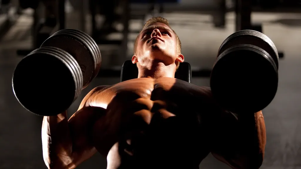 Insane Fitness Center : The Prakash — Standard Gym in Sector 70