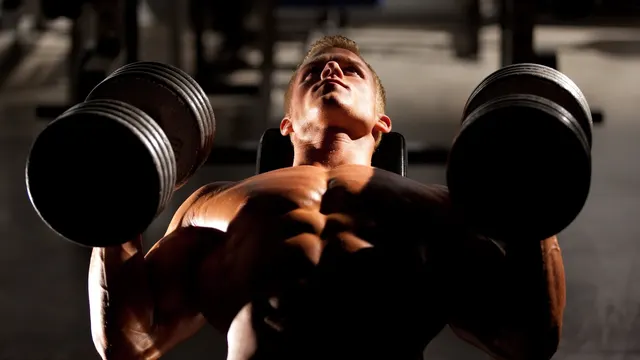 Insane Fitness Center : The Prakash