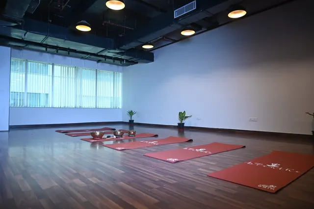 Yoga Mudgal — Yoga in Sector 62