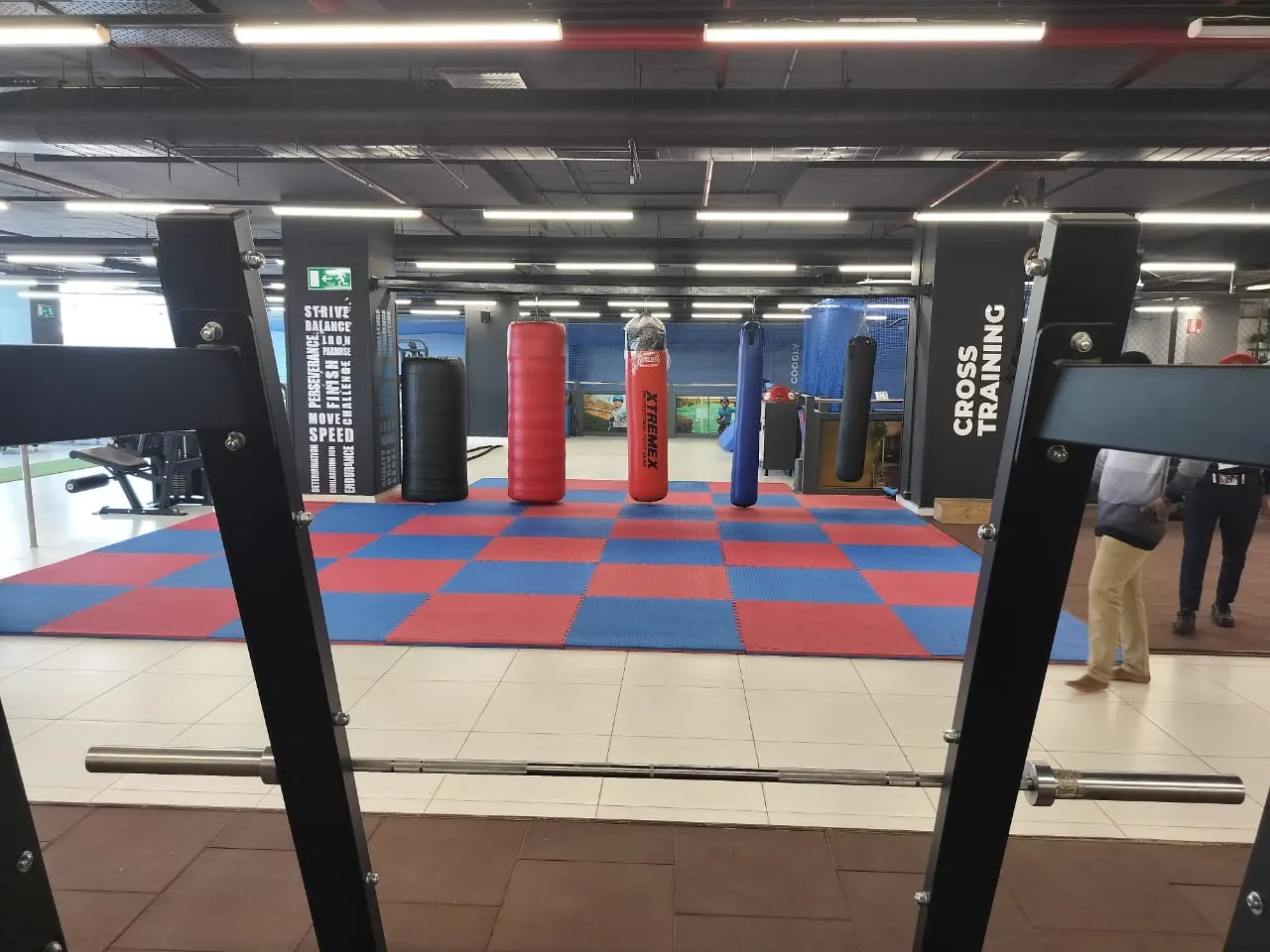 The Iron Paradise Gym in Decathlon Mysore Road — Football in Kengeri, Bengaluru