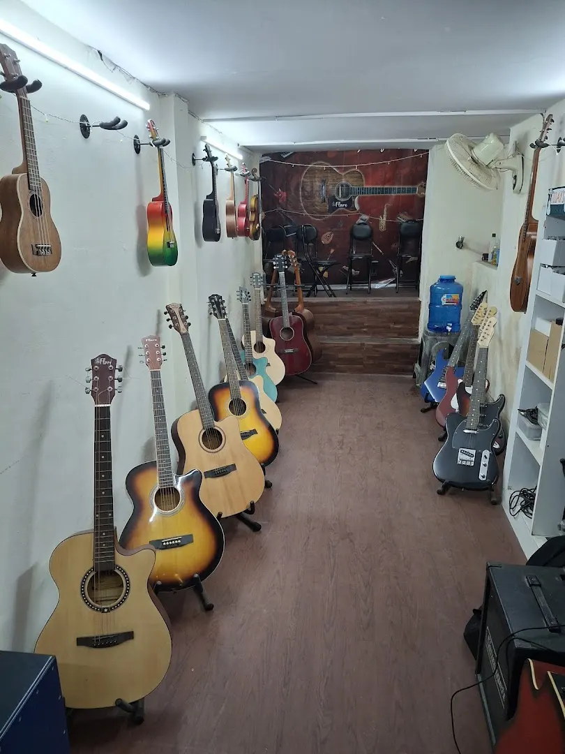 Ammy's Academia Kamla Nagar — Music in Kamla Nagar
