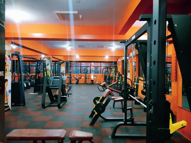 Government gym (StayFit)