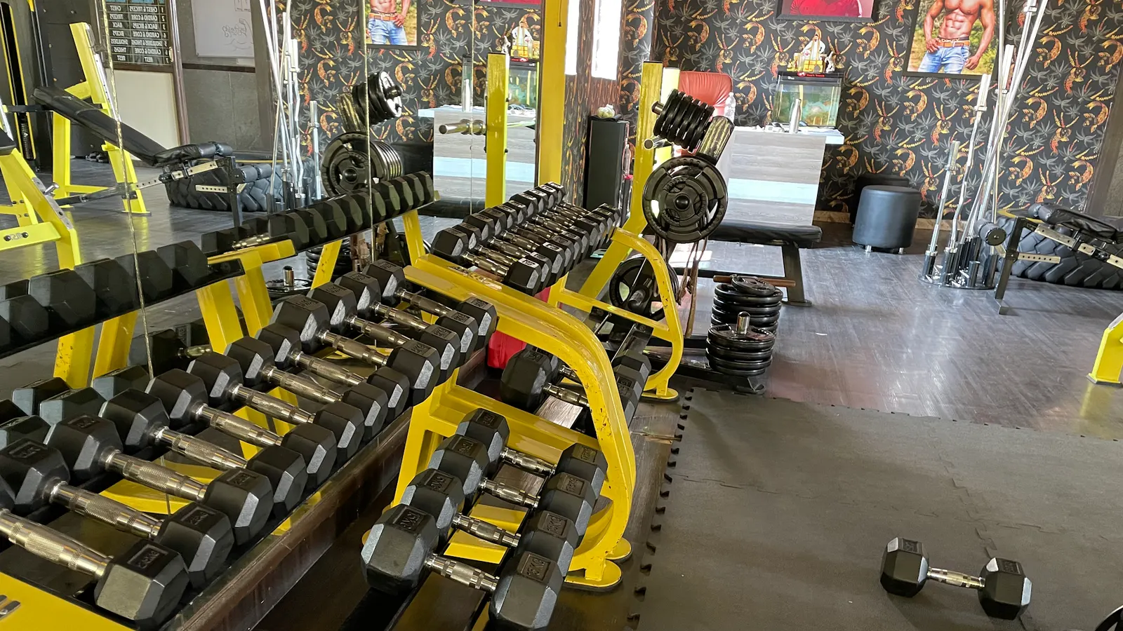 Punith Gym (nice Fit) — Standard Gym in Padmanabhanagar, Bengaluru