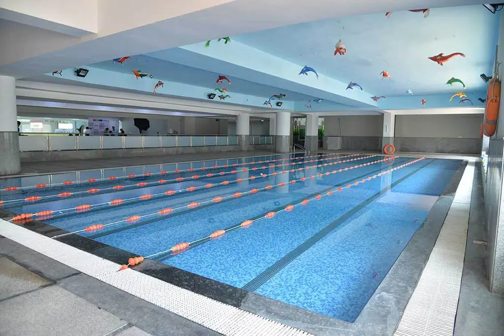 Michael Phelps Swimming At Vibgyor High — Swimming in Airoli