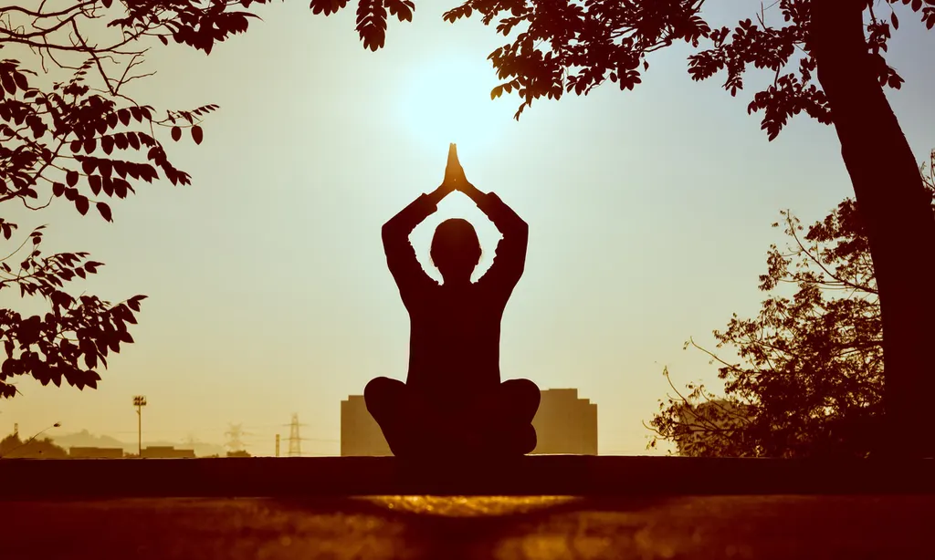 Yoga Life with Madhu — Yoga in Sector 5