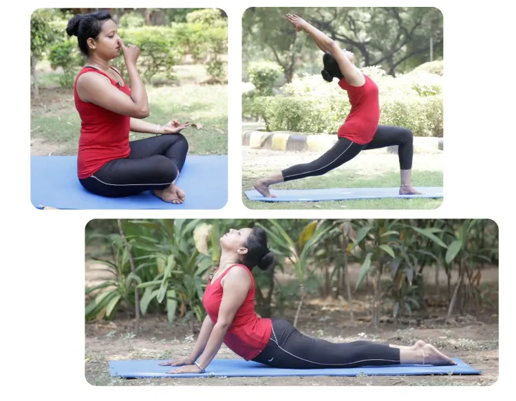 Sarv Samridhi Yoga Studio — Yoga in Sector 15, Faridabad