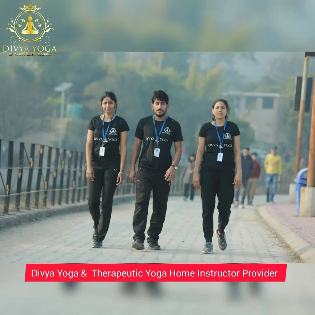 DIVYA Yoga & Therapeutic Yoga Home Instructor Provider — Yoga in Sector 71
