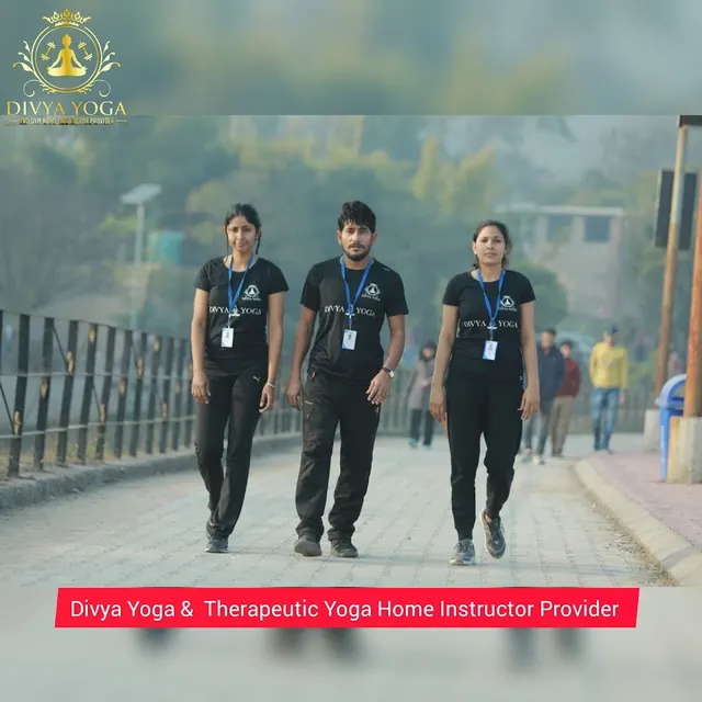 DIVYA Yoga & Therapeutic Yoga Home Instructor Provider — Yoga in Sector 71