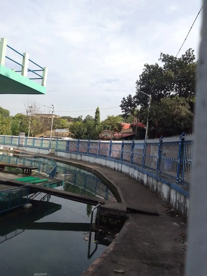 The Central Swimming Club — Swimming in Machuabazar, Kolkata