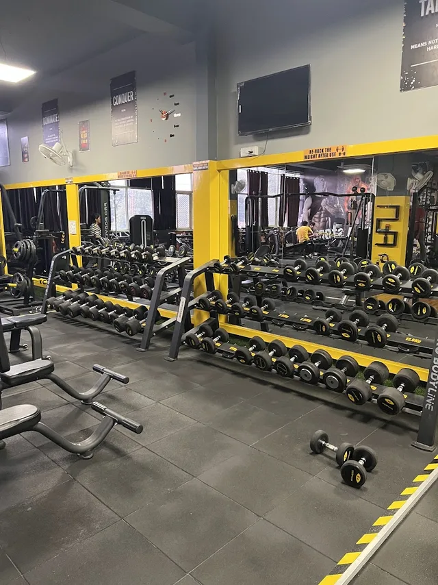 My Gym Box