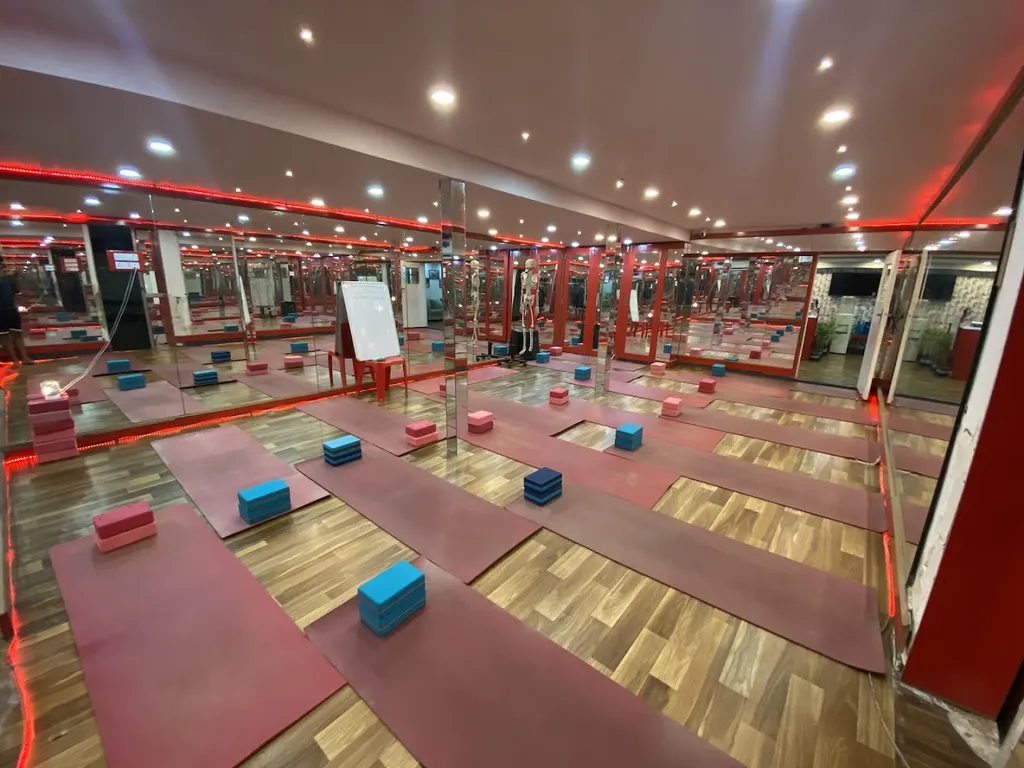Real Yoga — Yoga in Elgin