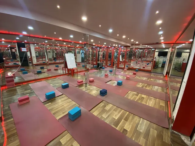 Real Yoga — Yoga in Elgin