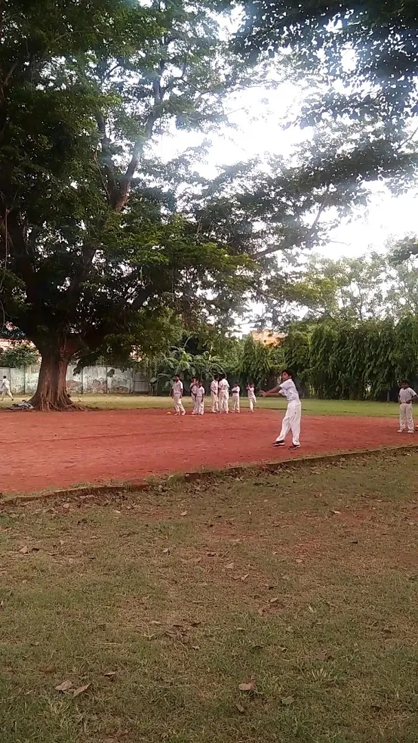 C C D Cricket Coaching Center — Cricket in Lake Gardens