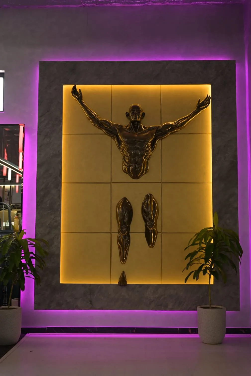 Saicus Fitness ( GE Road Branch ) — Choubey Colony