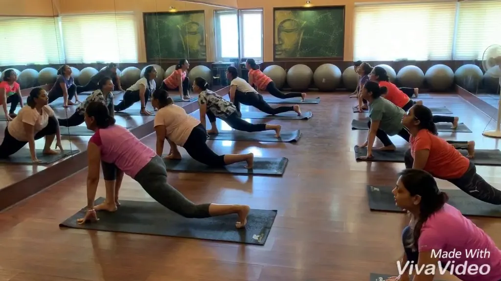 FnY Studio — Yoga in Sector 6
