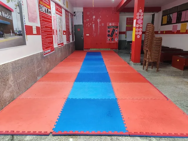 National Martial Art and Sports Academy (Kudi Branch) — Art & Craft in Basni