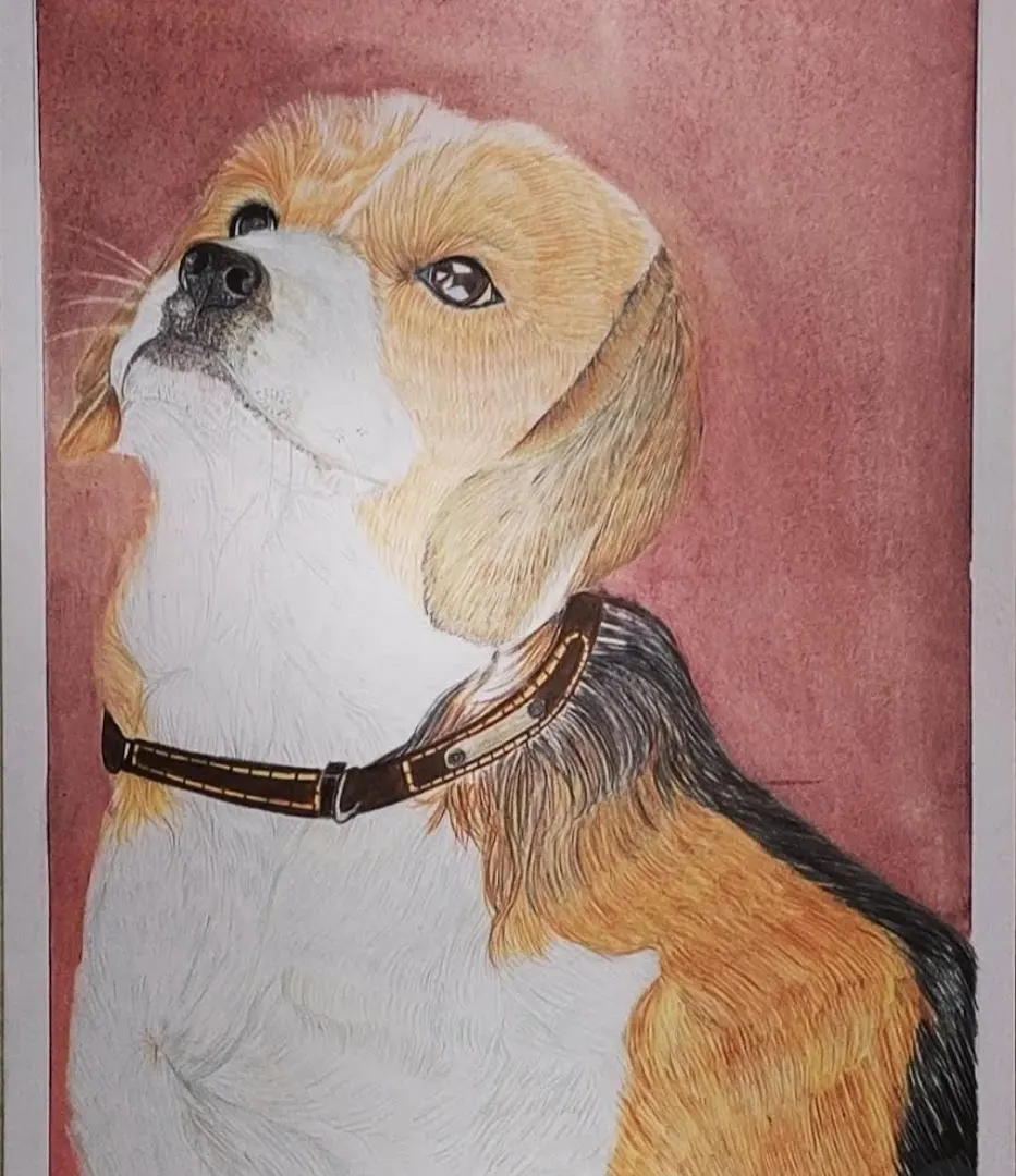 Artshala By Aditi — Art & Craft in Nirmohi Nagar
