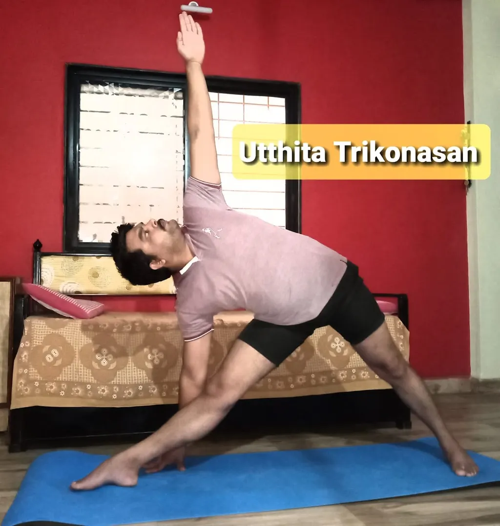 NITYA YOG SADHANA & Nityaahar Nutrition Center — Yoga in Lohegaon