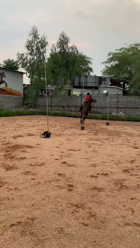 Lorven horse riding academy — Horse Riding in Falaknuma