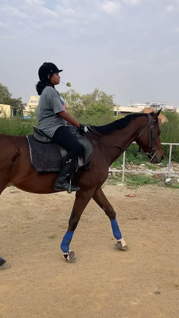HORSE RIDING STARS ACADEMY — Horse Riding in Jubilee Hills, Hyderabad
