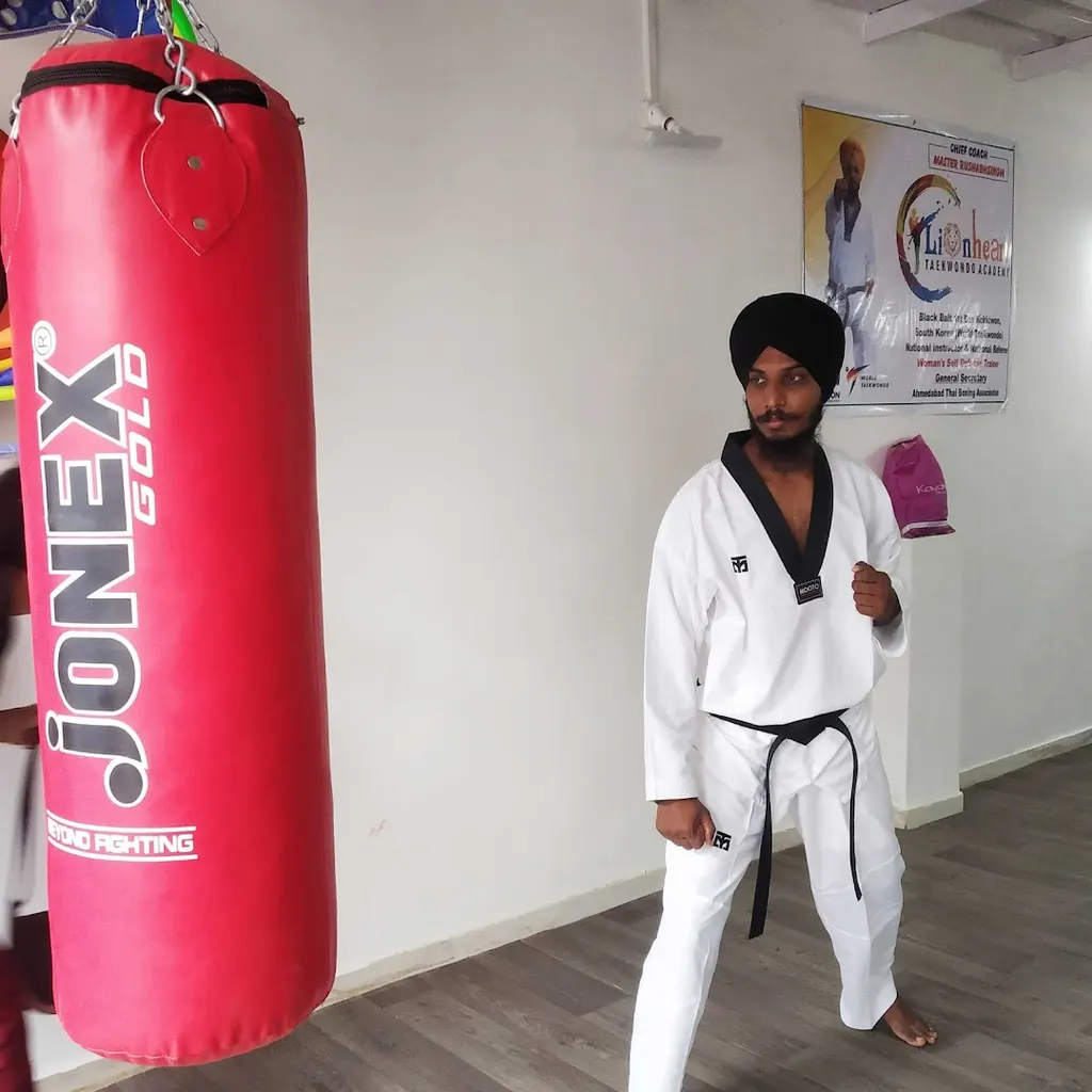 Lionheart Taekwondo Academy Khokhra — Martial Arts in Khokhra