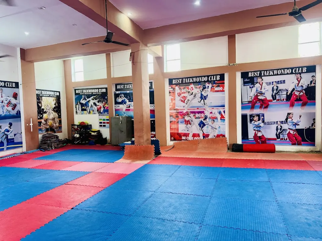 The Best Taekwondo Club (Defence taekwondo club) Academy — Martial Arts in Sector 19