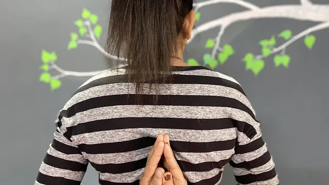 Yogyatra yoga classes.Certified by government of Uttarakhand — Yoga in Chukkuwala