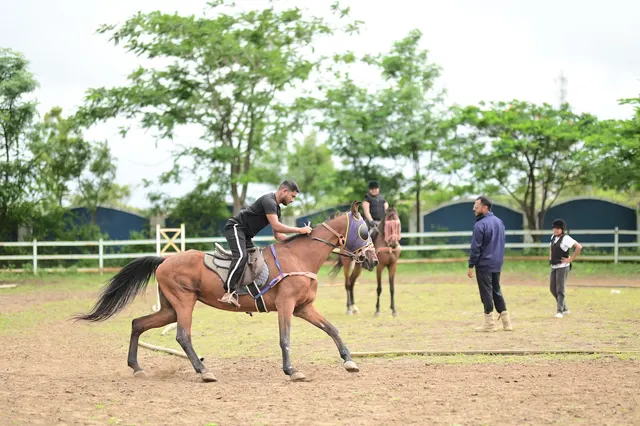 Pune Equestrians — Horse Riding in Kharadi