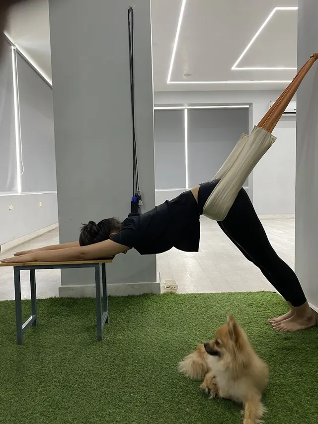 THE WHITE PORTE — Yoga in Adarsh Nagar