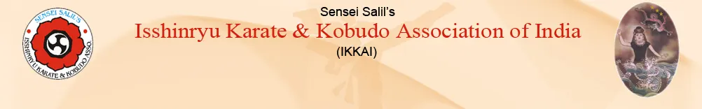 IsshinRyu Karate & Kobudo Association of India photo 1
