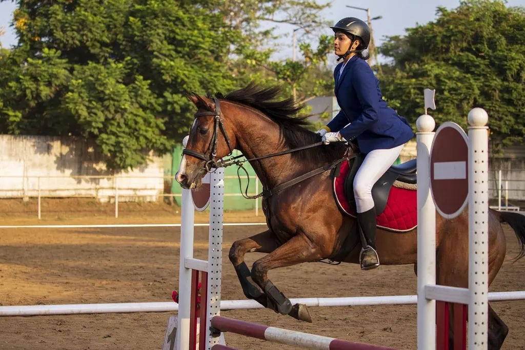 Madras School of Equitation Trust — Horse Riding in Guindy